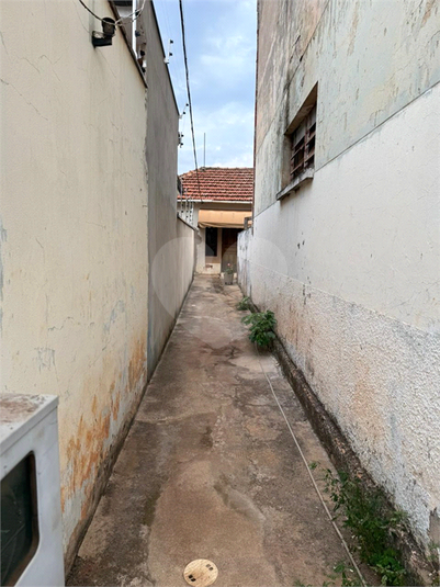 Foto REO1133844