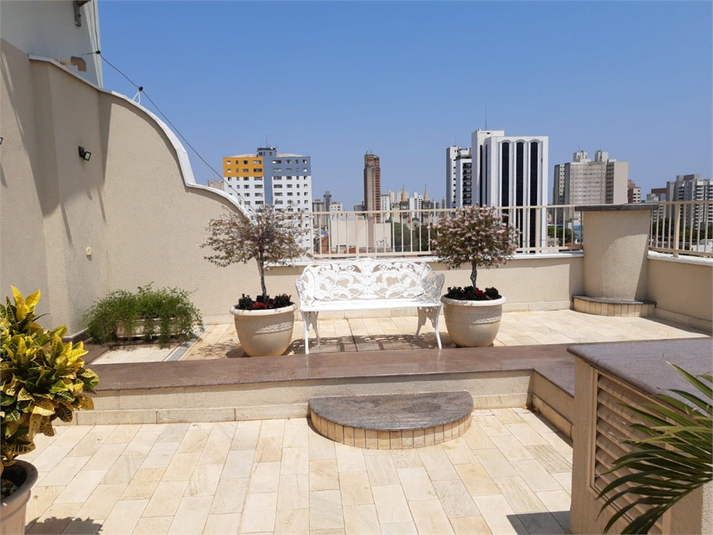 Foto REO1133861