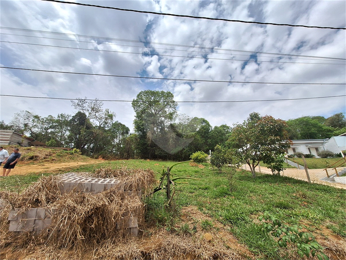 Foto REO1133864