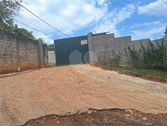 Foto REO1133864
