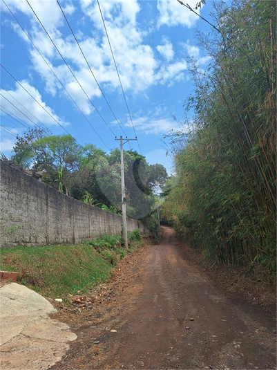 Foto REO1133864