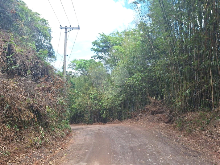 Foto REO1133864