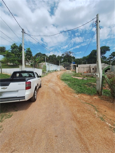 Foto REO1133864