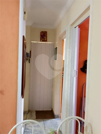 Foto REO1133872