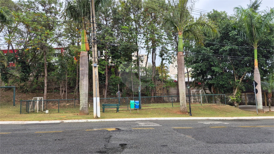 Foto REO1133877