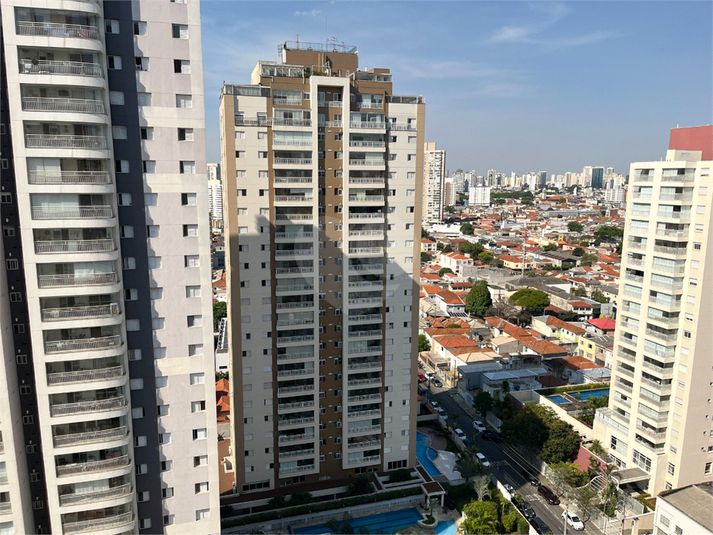 Foto REO1133882
