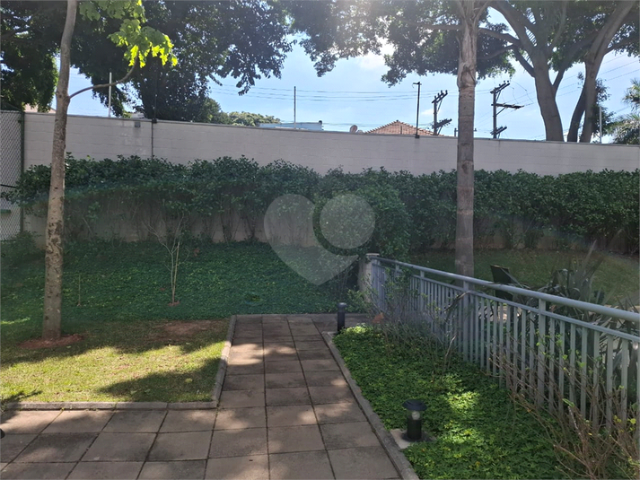 Foto REO1133884