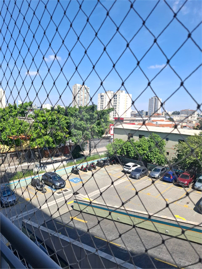 Foto REO1133884