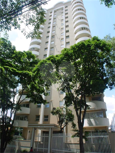 Foto REO1133891