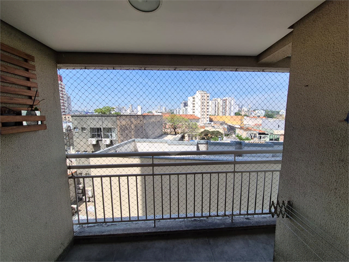 Foto REO1133898
