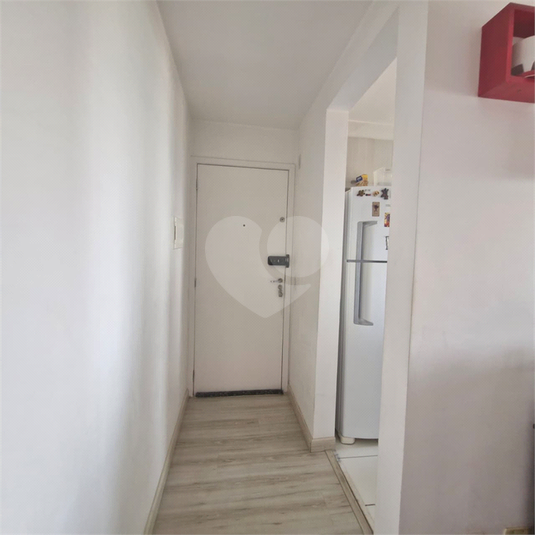Foto REO1133900