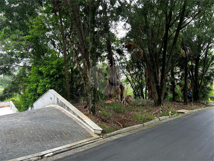 Foto REO1133905