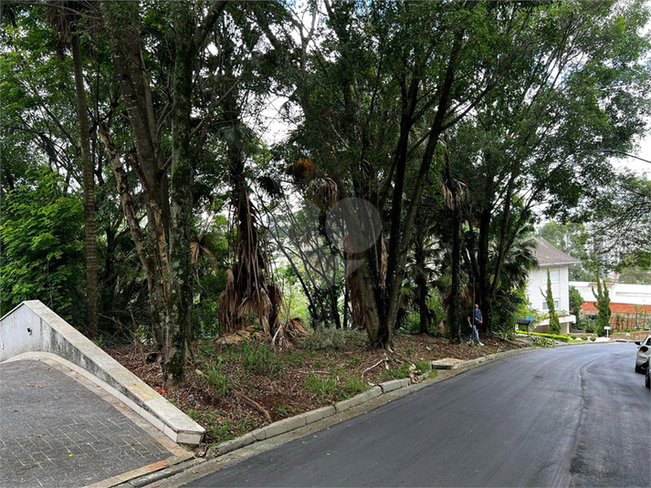 Foto REO1133905