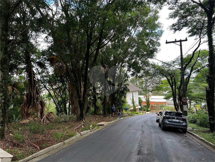 Foto REO1133905