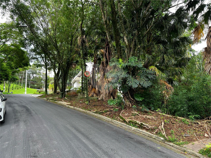 Foto REO1133905