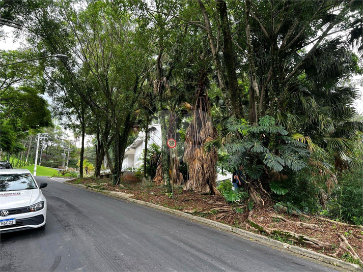Foto REO1133905