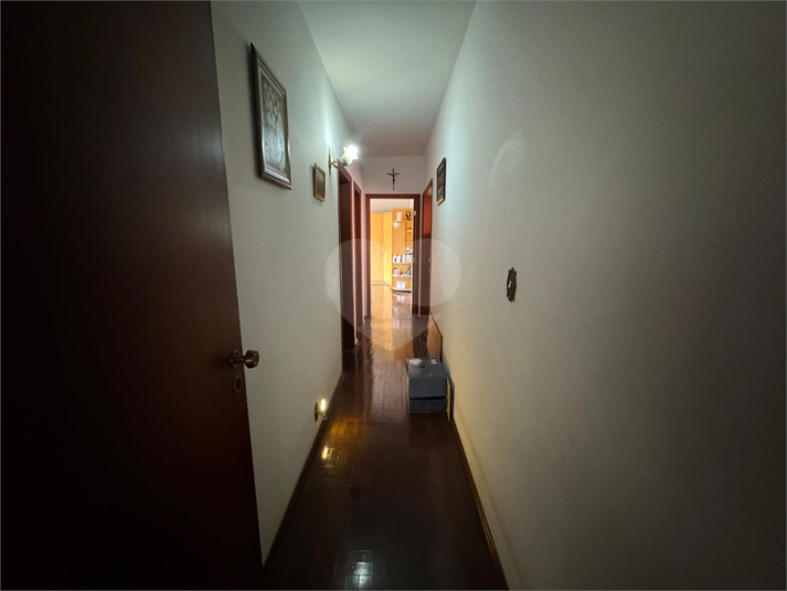 Foto REO1133922