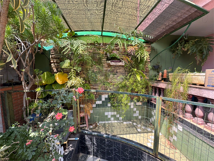 Foto REO1133922