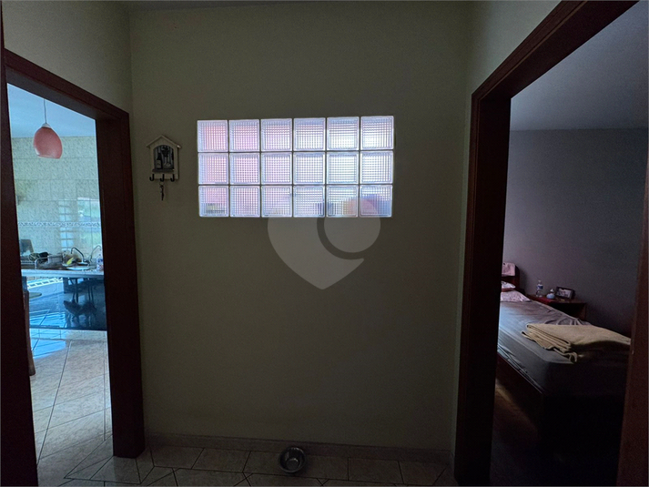 Foto REO1133922