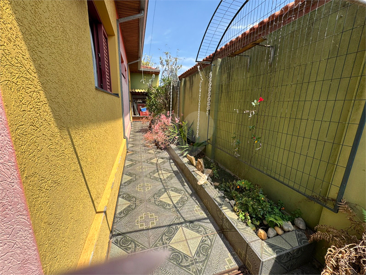 Foto REO1133922