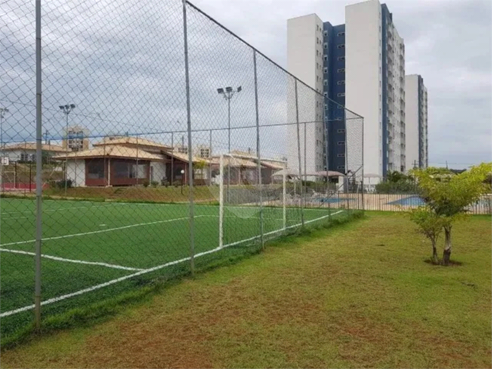 Foto REO1133927