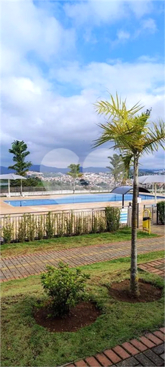 Foto REO1133927