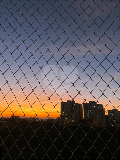 Foto REO1133927