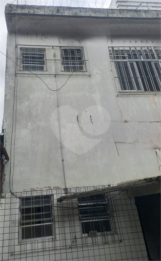 Foto REO1133933