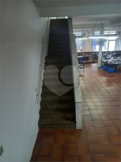Foto REO1133933