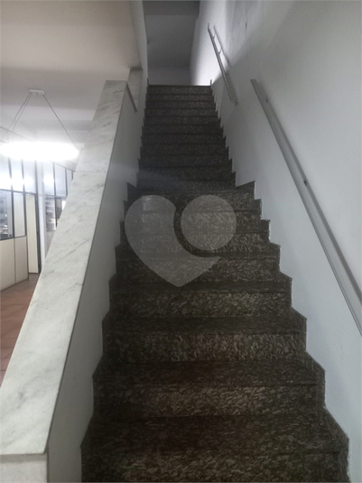Foto REO1133933