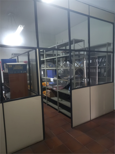 Foto REO1133933