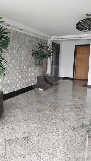 Foto REO1133936