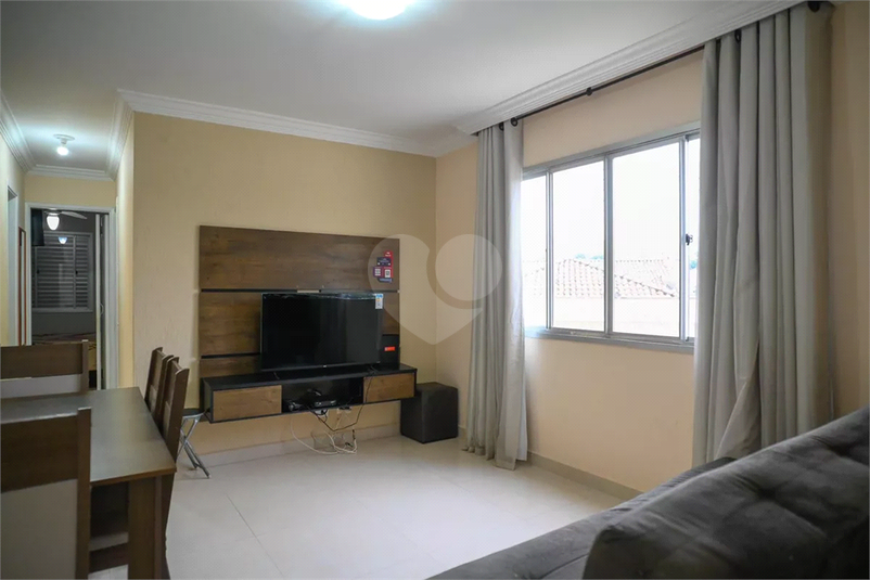 Foto REO1133938