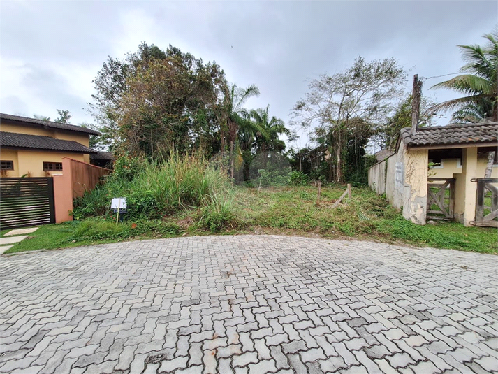 Foto REO1133949