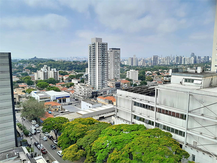 Foto REO1133950