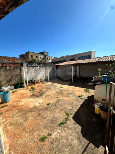 Foto REO1133953