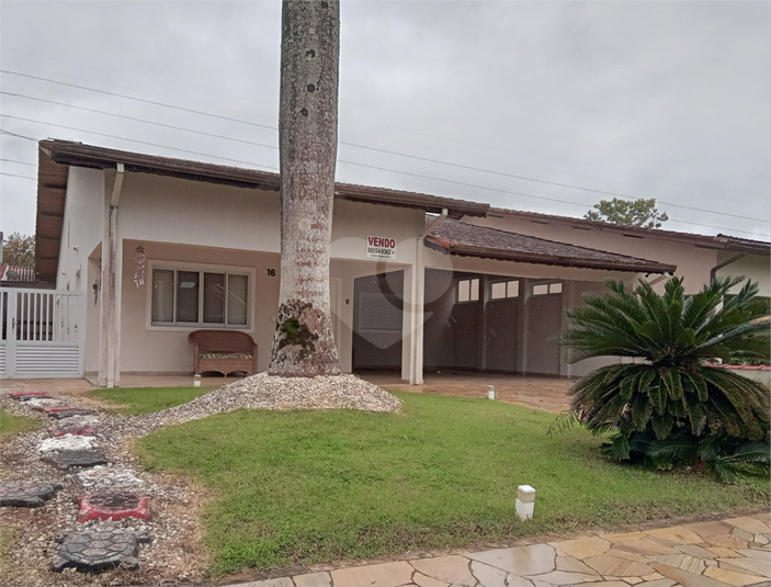 Foto REO1133959