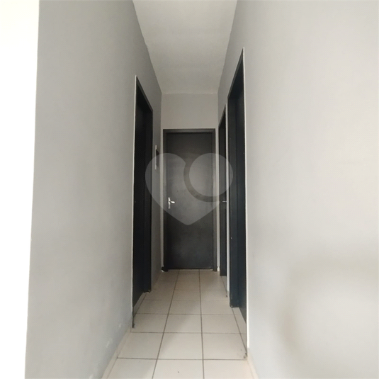 Foto REO1133962