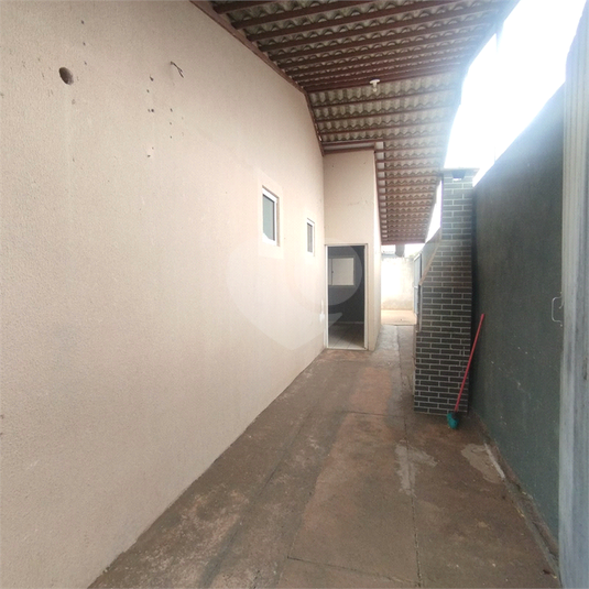 Foto REO1133962