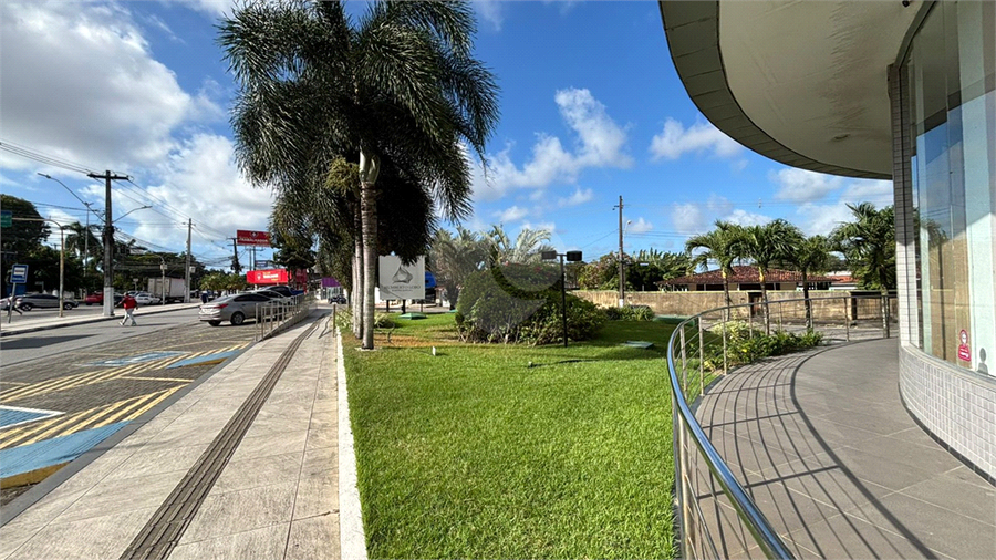 Foto REO1133973