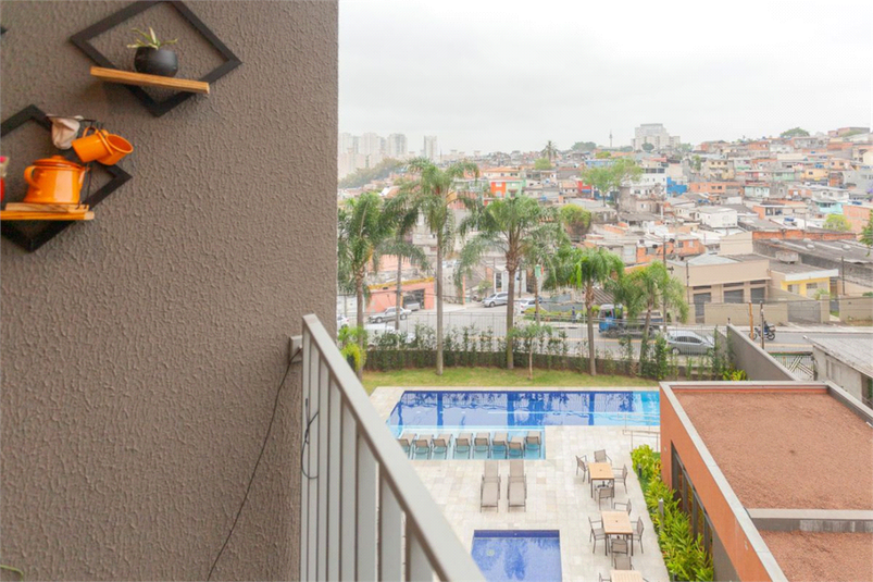 Foto REO1133981