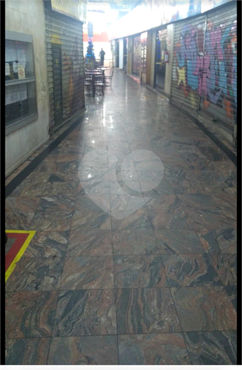 Foto REO1133986