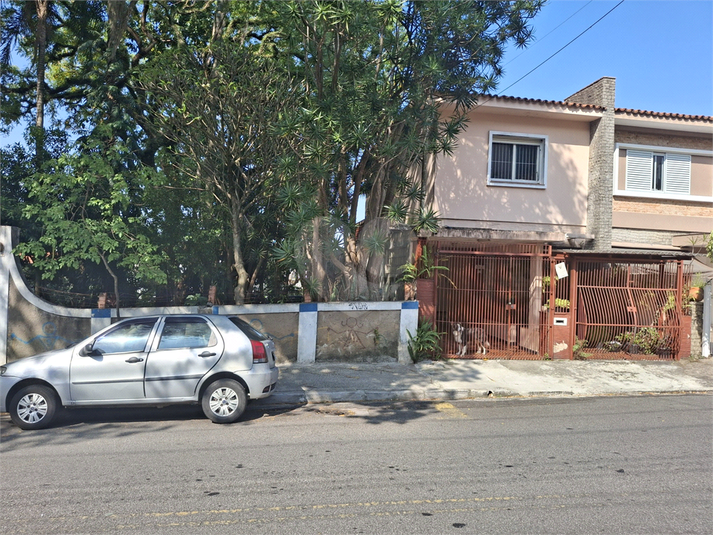 Foto REO1133995