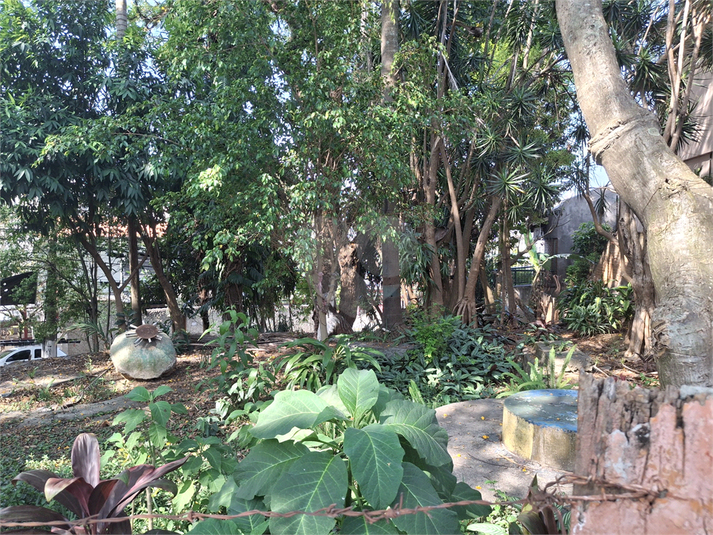 Foto REO1133995