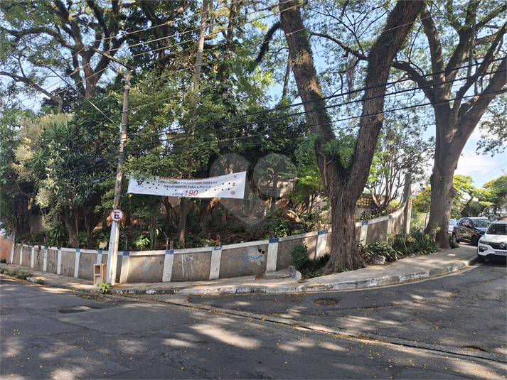 Foto REO1133995
