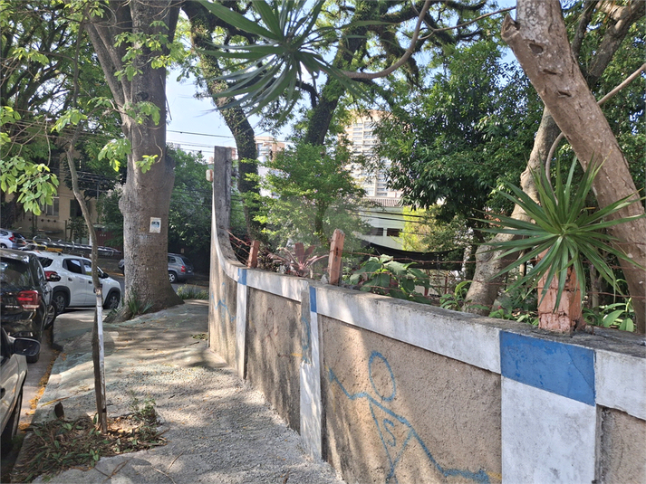 Foto REO1133995