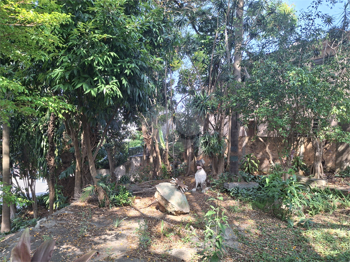Foto REO1133995