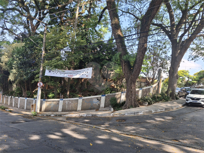 Foto REO1133995