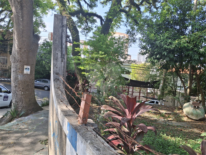 Foto REO1133995