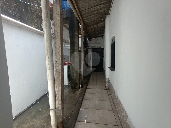Foto REO1134004